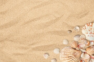 Fototapeta na wymiar Summer time concept composition with beautiful starfish and sea shells on sand