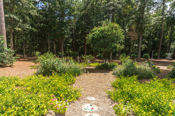 a large backyard of a home with shrubbery and a garden and trees