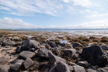 rocks on the beach