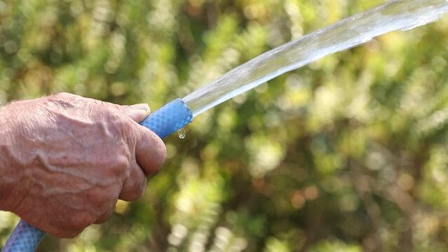 close-up of hand watering with hose