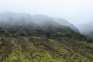 misty morning in the mountains