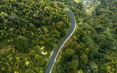 Aerial shot of road in tropical mountain forest.