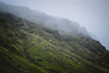 fog in the mountains