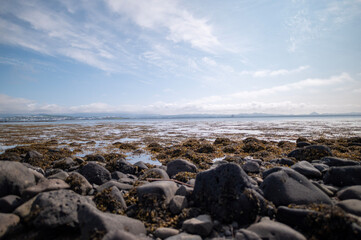 rocks on the beach