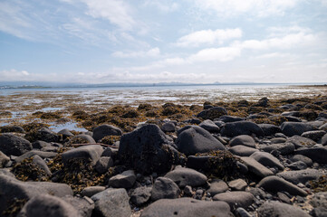 beach and rocks