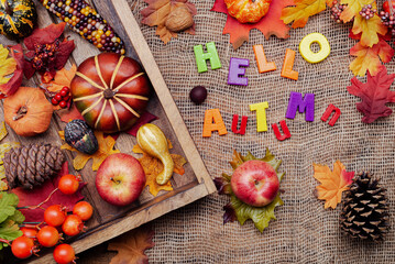 autumn leaves, pumpkins, cones and colorful inscription Hello AUTUMN.