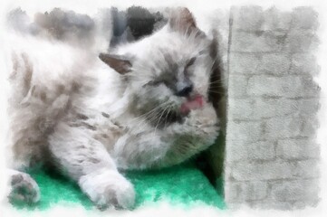 Cats in various cute poses watercolor style illustration impressionist painting.