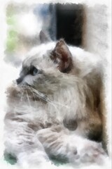 Cats in various cute poses watercolor style illustration impressionist painting.