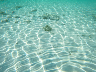 Beautiful underwater view at Lang Tengah Island located in Terengganu Malaysia