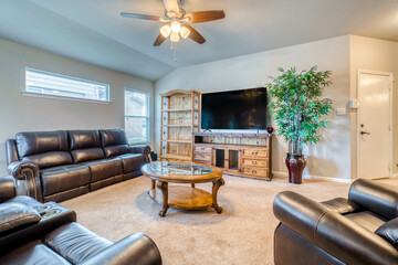Home living room 
