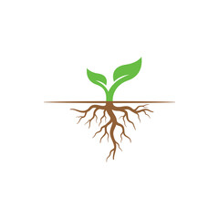 plant with root logo vector icon illustration