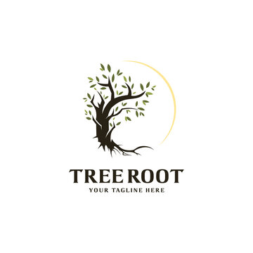 Tree and roots logo design isolated, mangrove tree vector illustration