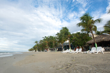 Lonely beach, with the blue sea and many coconut trees. tropical beach. radiant sun and heat

