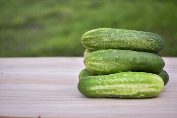 Fresh organic cucumbers on a brown wooden table. Salad ingredient, Fresh vegetables, Vegan food