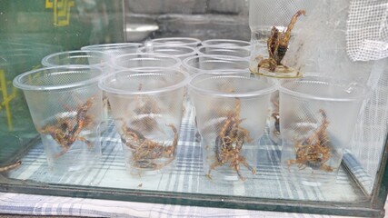 fried scorpion is an exotic street food in Asia
