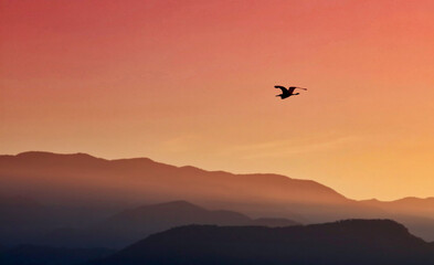 Bird flying over 