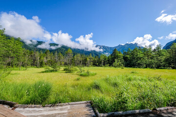 長野県松本市上高地の田代湿原と穂高連峰