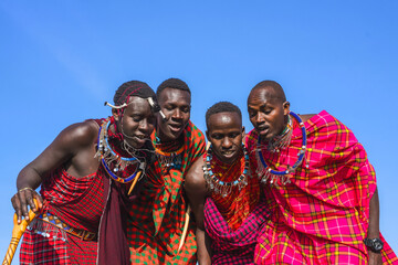Maasai Mara man showing traditional Maasai jumping dance - obrazy, fototapety, plakaty