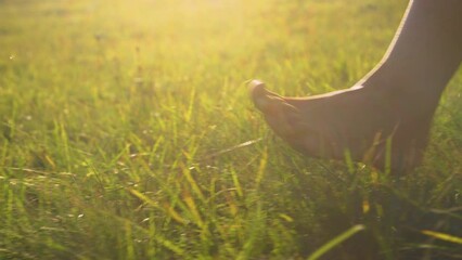 CLOSE UP, LOW ANGLE: Female person pacing the meadow with bare feet in golden light. Barefoot young woman walking on green grass. Carefree and relaxing moment in nature on a beautiful sunny morning.