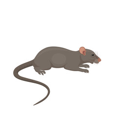 Vector illustration, a mouse isolated on a white background.