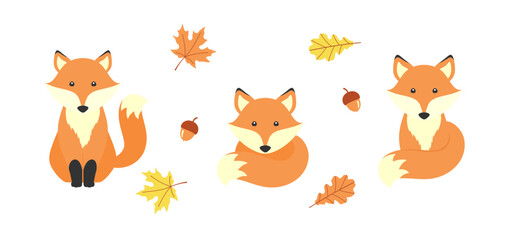 Cute cartoon foxes, acorns, maple and oak leaves, isolated on a white background. Vector set with adorable animal for cover, nursery decor, printing on kids t-shirts, clothes and bags. Design template