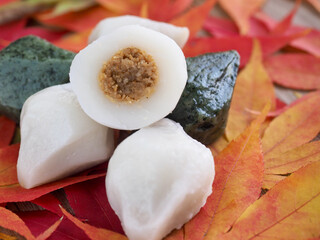 한국전통음식 송편과 단풍잎, 떡