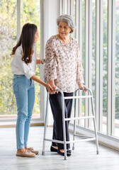 Asian young beautiful happy female granddaughter smiling helping cheerful old senior healthy gray hair retired pensioner grandmother walking using support assist four legged walker in living room