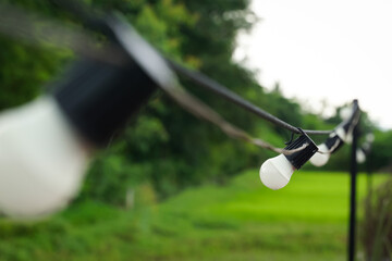 white bulbs laid out in a long line
