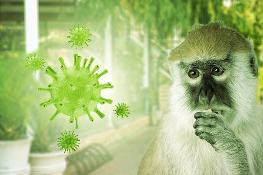 Monkeypox outbreak concept. Monkeypox is a viral zoonotic disease. MPXV virus. The spread of the disease from wild animals. The virus flies around the monkey.