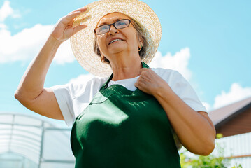 Positive portrait smiling senior woman farmer wearing straw hat, green gardener apron and...