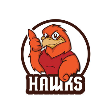 Hawk Eagle bird character mascot logo