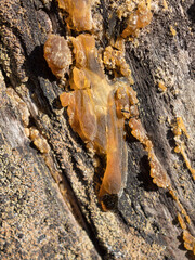 resin close up