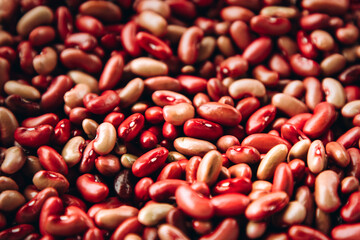 Closed background of many beans of pink-red color. Bean texture, selective focus