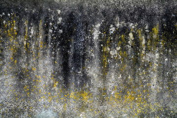Abstract background with texture of black splashed spots on a gray concrete wall.