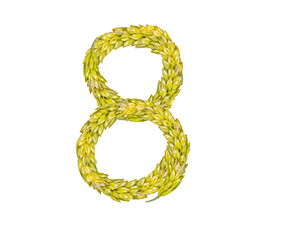 Figure 8 made from spikelets of grain