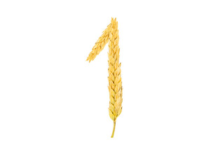 Figure 1 made from spikelets of grain
