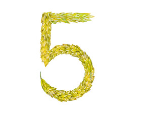 Figure 5 made from spikelets of grain