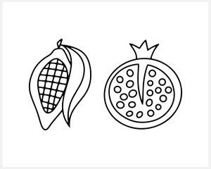 Grenade and cocoa fruit icon, doodle food. Hand drawn art line. Sketch vector stock illustration. EPS 10