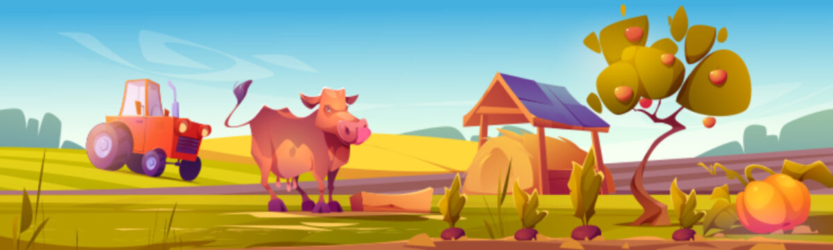 Countryside scene with cow, agriculture fields and meadows, farm tractor and hay in barn. Vector cartoon illustration of rural landscape with green grass, cattle animal, straw and crop in garden