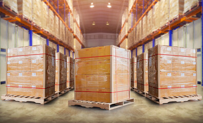 Package Boxes Wrapped Plastic Stacked on Pallets in Storage Warehouse. Supply Chain. Storehouse...