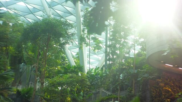 Changi airport greenery garden wide view in Singapore