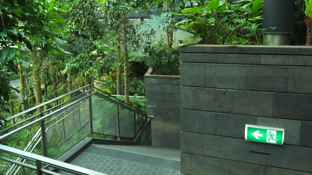 Changi airport greenery garden steps closeup view in Singapore