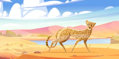 Outdoor kussens Cheetah walk in savannah. African wild cat with spotted fur. Vector cartoon illustration of savanna landscape, safari park scene with gepard walking and looking around © klyaksun