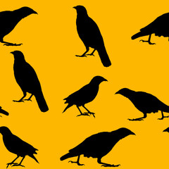 Black crows on orange background. Birds silhouette. Seamless pattern. Halloween Concept