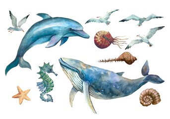 marine life, whale, dolphin ,seagulls 
