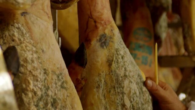 Leg of Iberian ham detailed macro shoot moving, where it is seen in the reflections of light on the black brown skin of the Iberian pig .the curator touches and test the leg where details are shown 