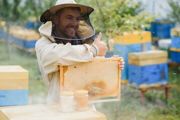 Beekeeper is working with bees and beehives on the apiary. Beekeeping concept