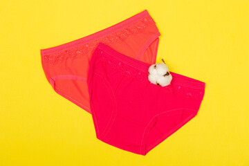 Clothing for children in the form of panties. Clothes for children from soft fabric. Panties for girls. A set of panties for children. View from above. Set of underwear on a yellow background