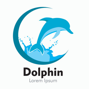 Attractive jumping dolphin logo in blue