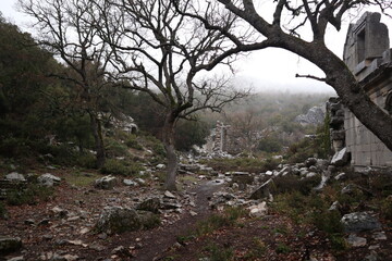 termessos ancient city close to antalya, Turkey